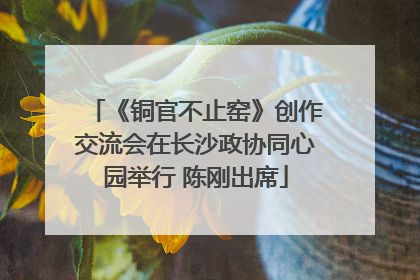 《铜官不止窑》创作交流会在长沙政协同心园举行 陈刚出席