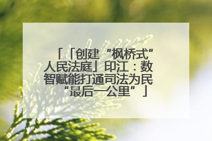 「创建“枫桥式”人民法庭」印江：数智赋能打通司法为民“最后一公里”