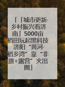 「城市更新· 乡村振兴看济南」5000亩稻田玩起黑科技 济阳“黄河·稻乡湾”靠“非遗+露营”火出圈