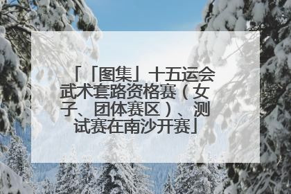 「图集」十五运会武术套路资格赛（女子、团体赛区）、测试赛在南沙开赛