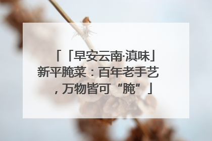 「早安云南·滇味」新平腌菜：百年老手艺，万物皆可“腌”