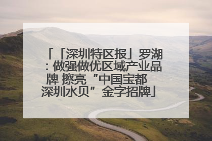 「深圳特区报」罗湖：做强做优区域产业品牌 擦亮“中国宝都 深圳水贝”金字招牌