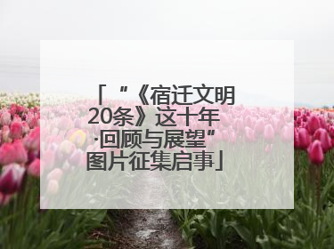 “《宿迁文明20条》这十年·回顾与展望”图片征集启事