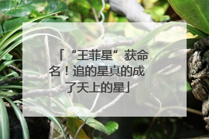 “王菲星”获命名！追的星真的成了天上的星