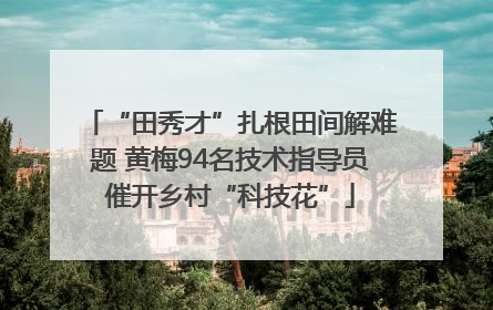 “田秀才”扎根田间解难题 黄梅94名技术指导员催开乡村“科技花”