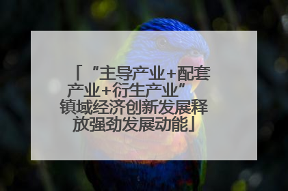“主导产业+配套产业+衍生产业” 镇域经济创新发展释放强劲发展动能