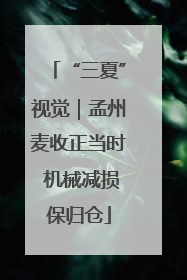 “三夏”视觉｜孟州麦收正当时 机械减损保归仓