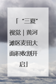 “三夏”视觉｜黄河滩区麦田大面积收割开启