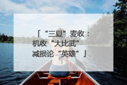 “三夏”麦收：机收“大比武” 减损论“英雄”