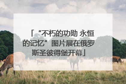 “不朽的功勋 永恒的记忆”图片展在俄罗斯圣彼得堡开幕