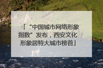 “中国城市网络形象指数”发布，西安文化形象居特大城市榜首