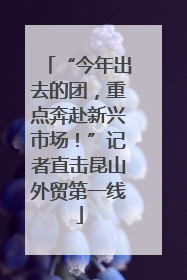 “今年出去的团，重点奔赴新兴市场！”记者直击昆山外贸第一线