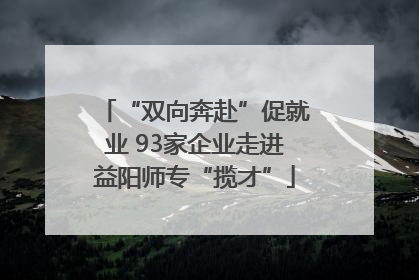 “双向奔赴”促就业 93家企业走进益阳师专“揽才”
