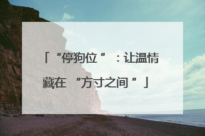 “停狗位 ”：让温情藏在 “方寸之间 ”
