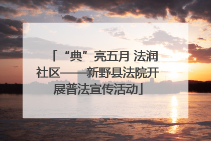 “典”亮五月 法润社区——新野县法院开展普法宣传活动