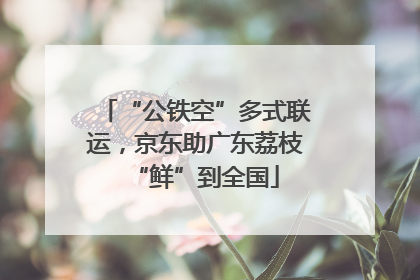 “公铁空”多式联运，京东助广东荔枝“鲜”到全国