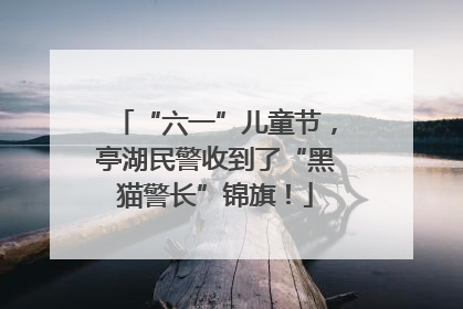 “六一”儿童节，亭湖民警收到了“黑猫警长”锦旗！