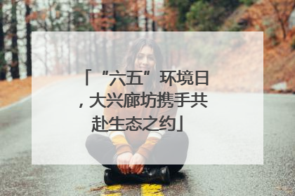 “六五”环境日，大兴廊坊携手共赴生态之约
