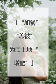 “加餐”“盖被” 为黑土地“增肥”