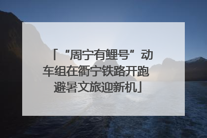 “周宁有鲤号”动车组在衢宁铁路开跑 避暑文旅迎新机