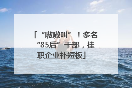 “嗷嗷叫”！多名“85后”干部，挂职企业补短板