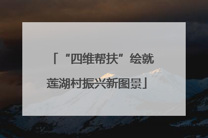 “四维帮扶”绘就莲湖村振兴新图景