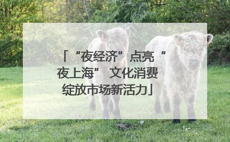 “夜经济”点亮“夜上海” 文化消费绽放市场新活力
