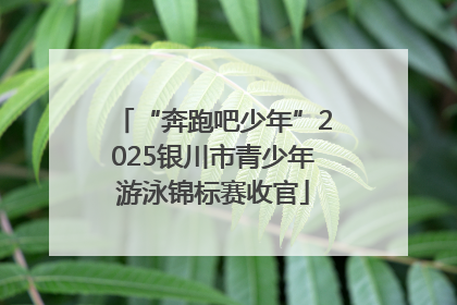 “奔跑吧少年”2025银川市青少年游泳锦标赛收官