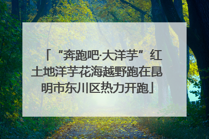 “奔跑吧·大洋芋”红土地洋芋花海越野跑在昆明市东川区热力开跑