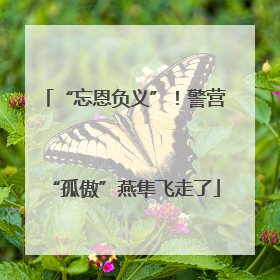 “忘恩负义”！警营“孤傲”燕隼飞走了