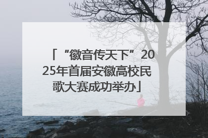 “徽音传天下”2025年首届安徽高校民歌大赛成功举办