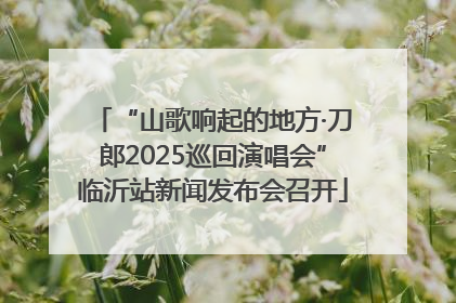 “山歌响起的地方·刀郎2025巡回演唱会”临沂站新闻发布会召开