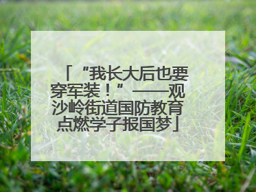 “我长大后也要穿军装！”——观沙岭街道国防教育点燃学子报国梦