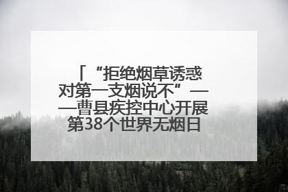 “拒绝烟草诱惑 对第一支烟说不”——曹县疾控中心开展第38个世界无烟日科普宣传活动
