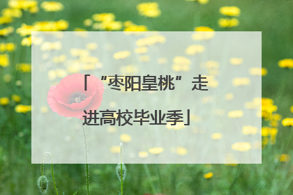 “枣阳皇桃”走进高校毕业季