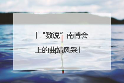 “数说”南博会上的曲靖风采