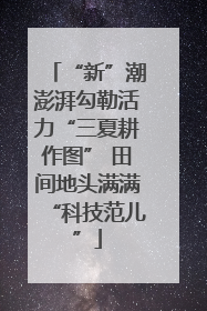 “新”潮澎湃勾勒活力“三夏耕作图” 田间地头满满“科技范儿”