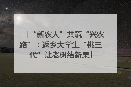 “新农人”共筑“兴农路”：返乡大学生“桃三代”让老树结新果