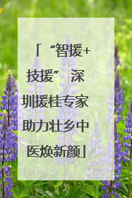 “智援+技援” 深圳援桂专家助力壮乡中医焕新颜
