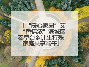 “暖心家园”艾“香情浓”滨城区秦皇台乡计生特殊家庭共享端午