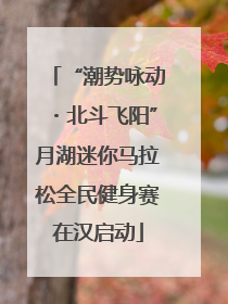 “潮势咏动・北斗飞阳”月湖迷你马拉松全民健身赛在汉启动