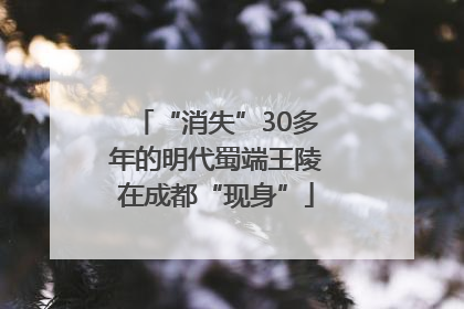 “消失”30多年的明代蜀端王陵在成都“现身”