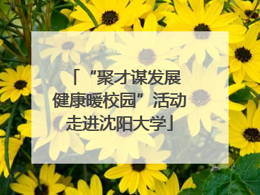 “聚才谋发展 健康暖校园”活动走进沈阳大学