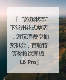 “苏超状态”下常州花式整活：游玩消费享抽奖机会，首轮特等奖将送理想 L6 Pro