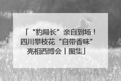 “豹局长”亲自到场！四川攀枝花“自带香味”亮相西博会丨图集