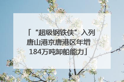 “超级钢铁侠”入列 唐山港京唐港区年增184万吨卸船能力