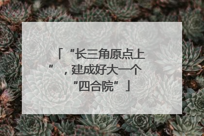 “长三角原点上”，建成好大一个“四合院”