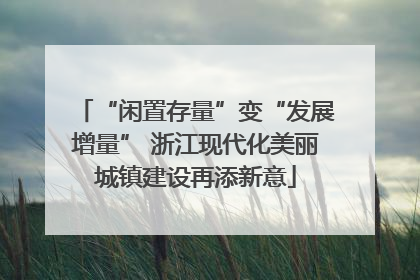 “闲置存量”变“发展增量” 浙江现代化美丽城镇建设再添新意
