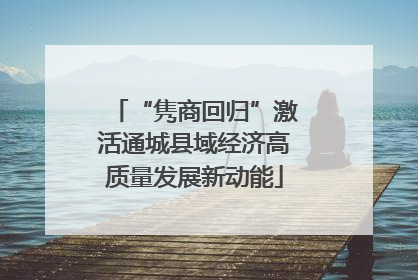 “隽商回归”激活通城县域经济高质量发展新动能