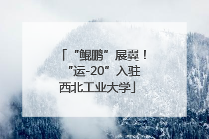 “鲲鹏”展翼！“运-20”入驻西北工业大学